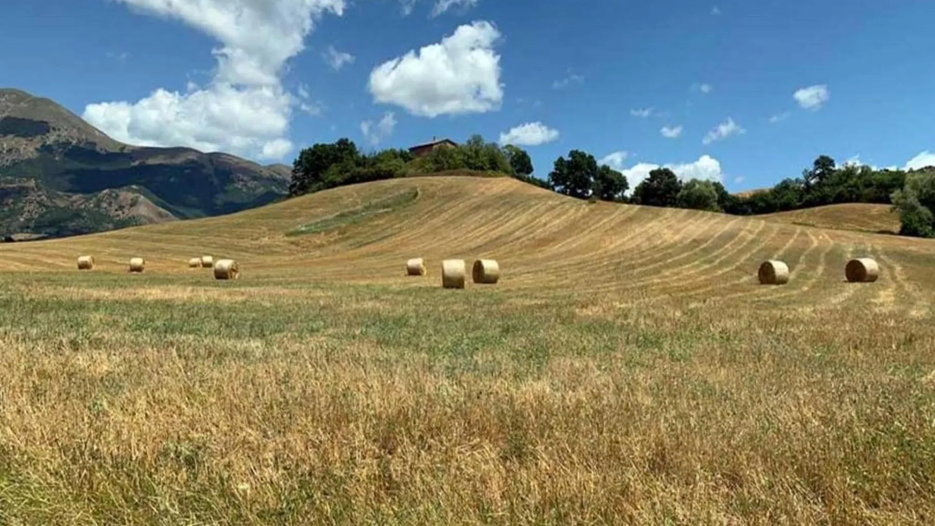 Typical Tuscan Farmhouse With Swimming Pool Castiglion Fiorentino